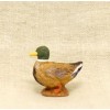 Canard  9cm